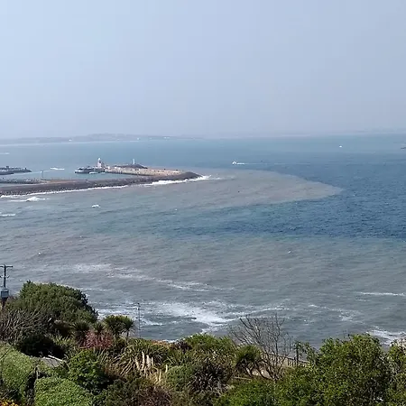 شقة Coastal *